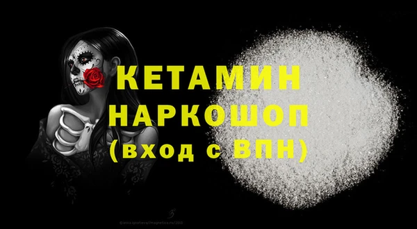 крисы Абаза