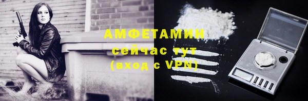 крисы Абаза