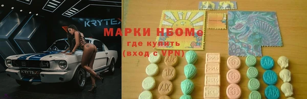 крисы Абаза
