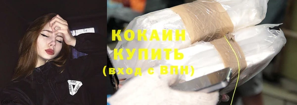крисы Абаза