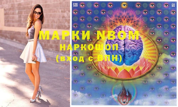 крисы Абаза
